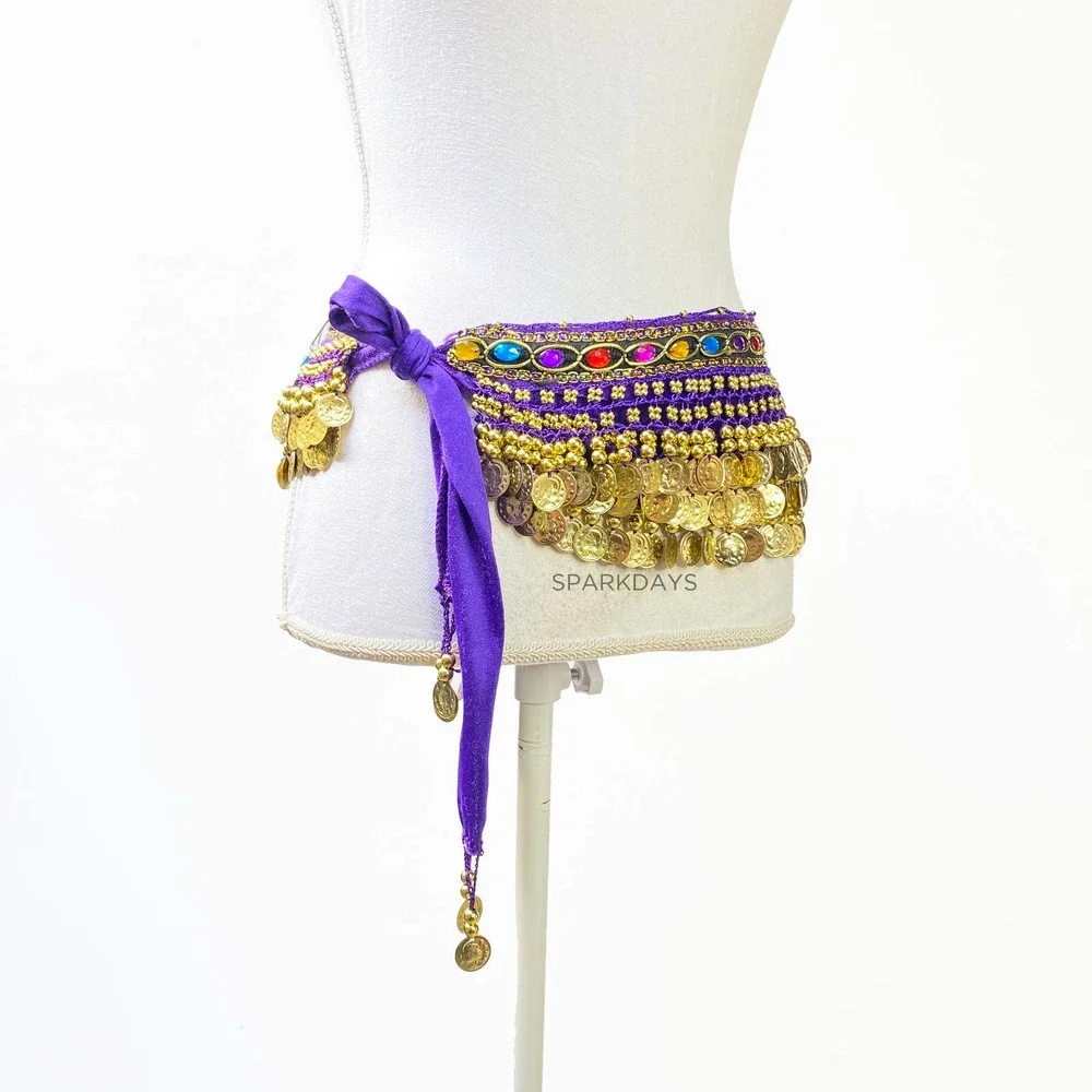 Belly Dancer Costume Purple Wig Jewel Coin Scarf Belt Festival Halloween Party - Picture 2 of 14